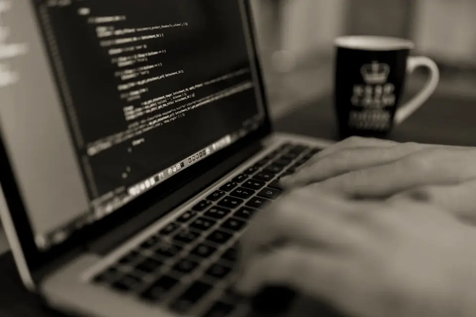 Hands typing on a laptop showing source code